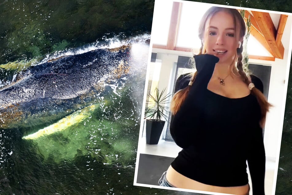 Politik-Influencerin an alle "Timmy"-Unterstützer: "Werdet vegan oder haltet Eure Fresse!"