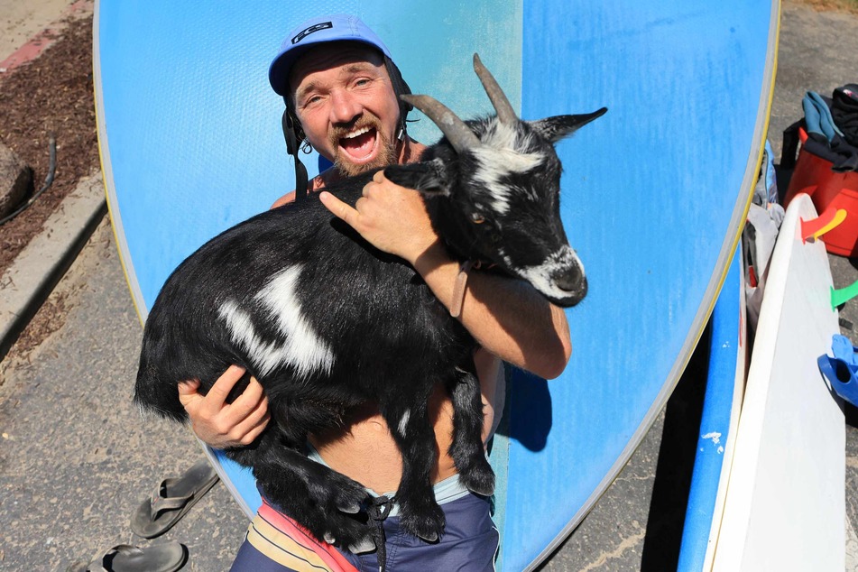 Dana McGregor says the eccentricity of goats helps beginner surfers overcome their fear.