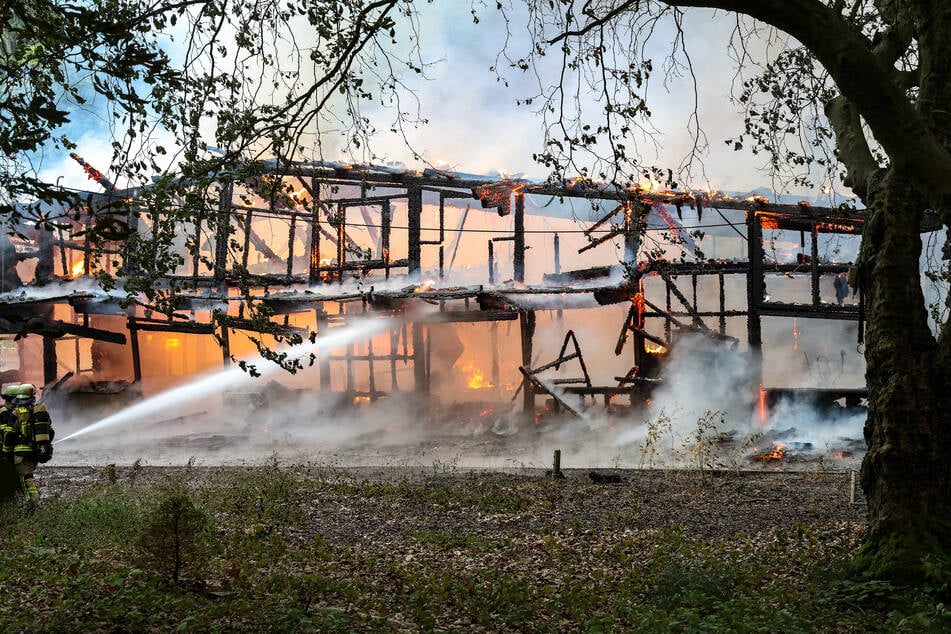 Zwei Löschzüge und insgesamt 60 Feuerwehrleute rückten in den stillgelegten Freizeitpark aus.