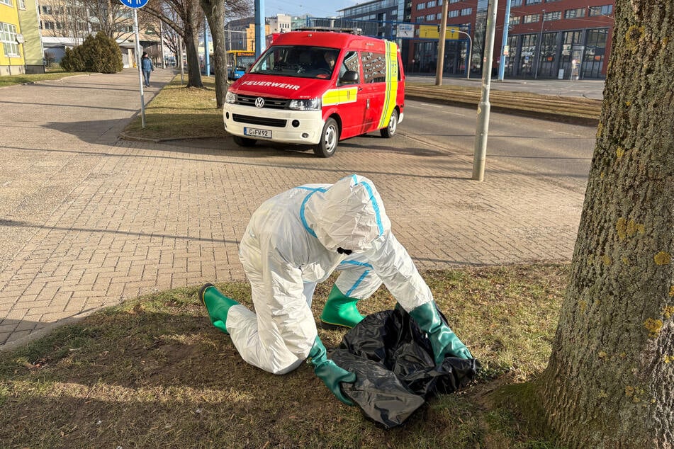 Der tote Kormoran wurde am Montag der Landesuntersuchungsanstalt übergeben.