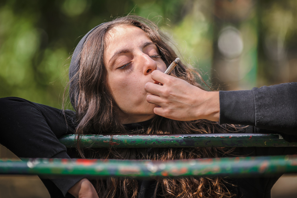 Vier Cannabispflanzen für jeden: Dieses Land bringt die Legalisierung auf den Weg