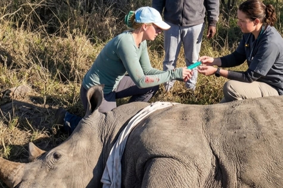 Bei der medizinischen Behandlung eines Nashorns durfte Inka (l.) auf der Farm in Namibia helfen.