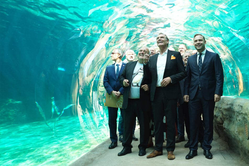 5 Millionen Liter Salzwasser & 100-Meter-Tunnel: Leipziger Zoo feiert "Feuerland"-Eröffnung