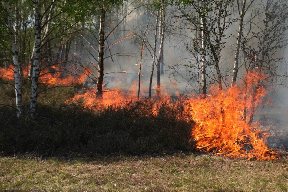 Waldbrand bei Jüterbog eingedämmt: Warten auf Hilfe von oben
