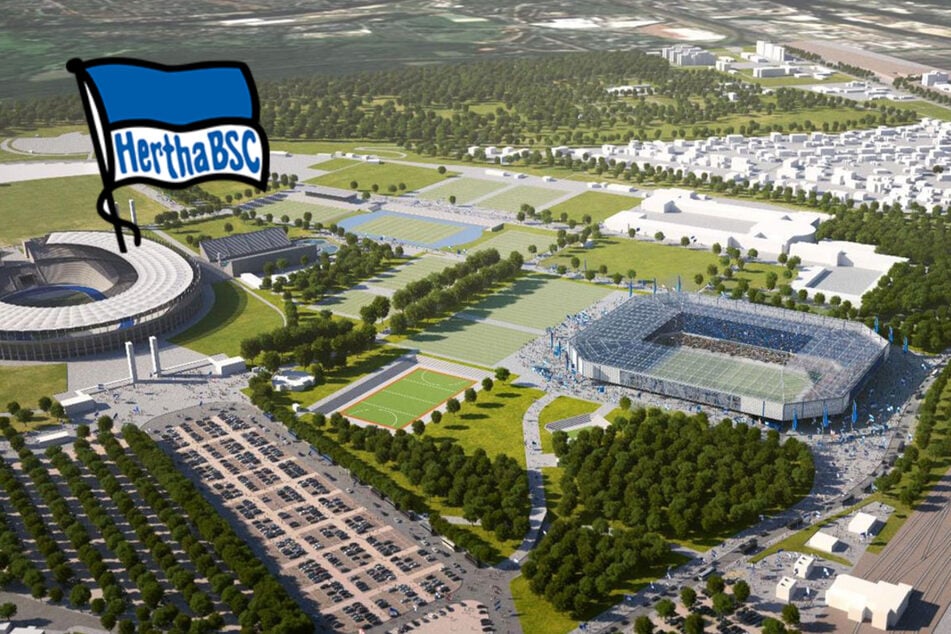Für Hertha rückt Traum vom eigenen Stadion näher: Senat jagt Ja, hat aber diese Bedingungen