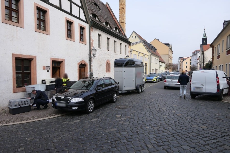 Seit morgens 8 Uhr waren die Einsatzkräfte vor Ort, um die Räumlichkeiten des Hofes zu durchsuchen.