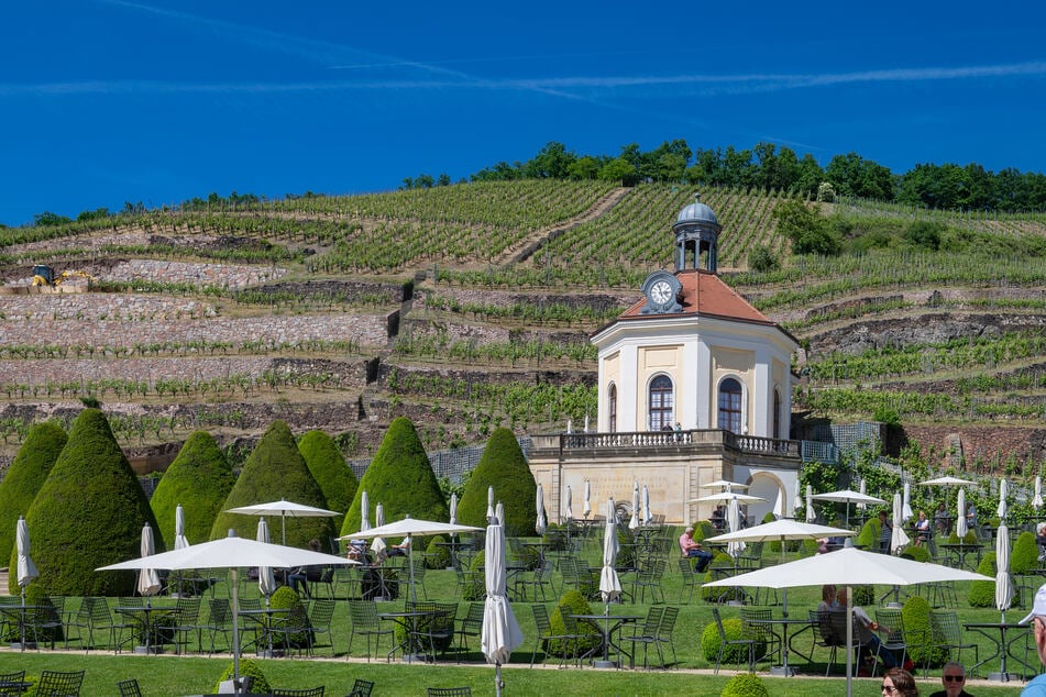 Auf Schloss Wackerbarth erfährt man, wie die hauseigenen "Cool Climate"-Weine hergestellt werden.