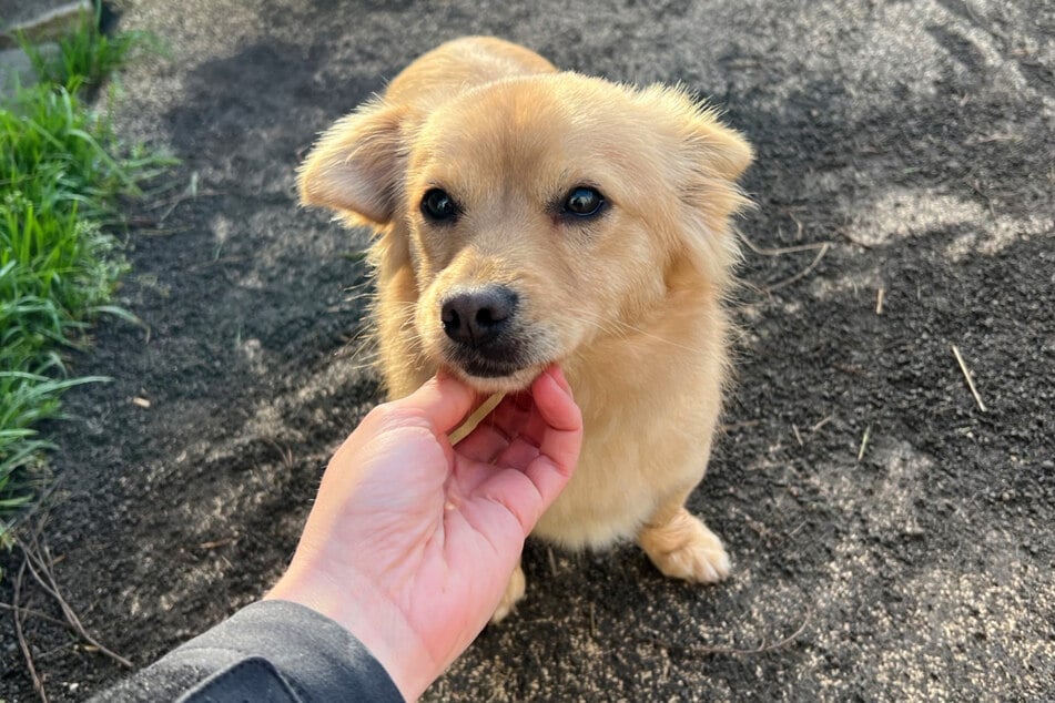 Gegenüber fremden Menschen ist Felix erst einmal sehr zurückhaltend.