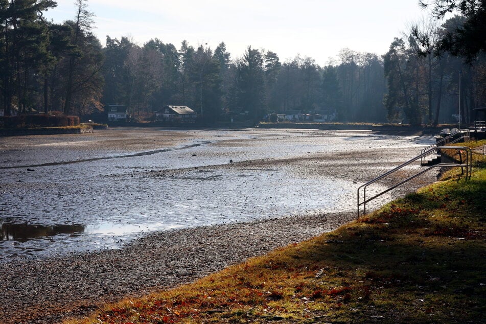Beim Waldbad Weixdorf befinden sich die Messwerte im Nanogramm-Bereich.