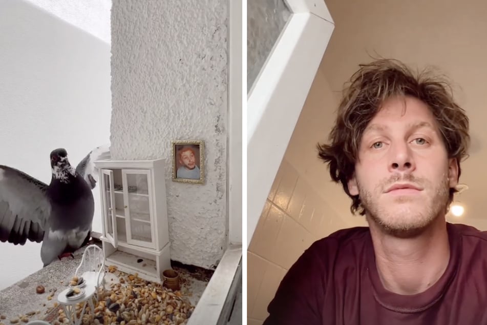 Als Tierschützer setzt sich der Influencer auch für Tauben ein.
