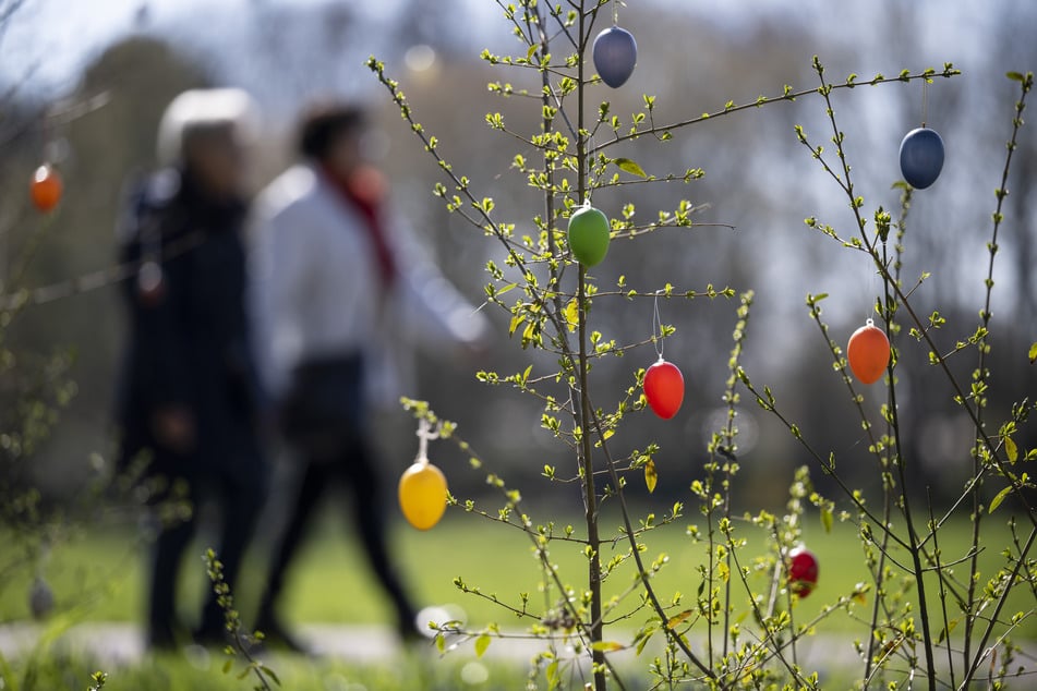 Bei Temperaturen von bis zu 19 Grad zieht es viele Berliner und Brandenburg nochmal in die Natur. (Symbolbild)