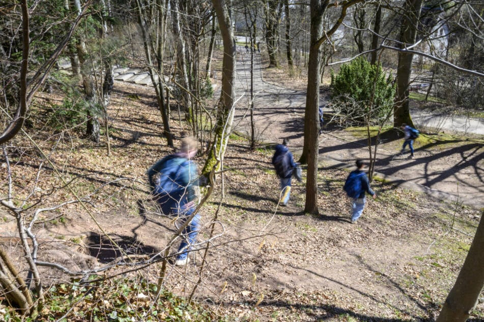 Einige Schüler nutzen den Hang neben der Treppe als Schulweg.