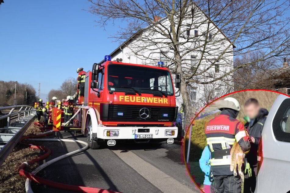Brand in Mehrfamilienhaus: Feuerwehr rettet Katze