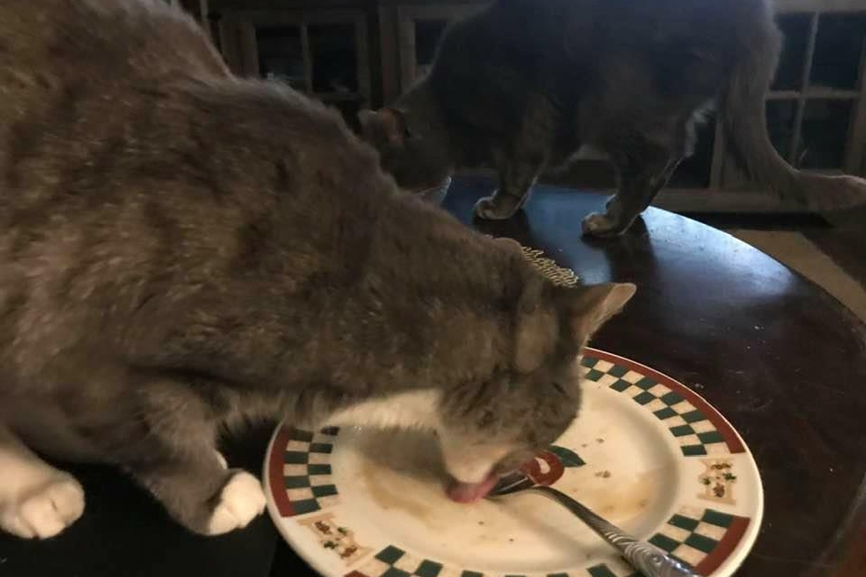 Guten Appetit.