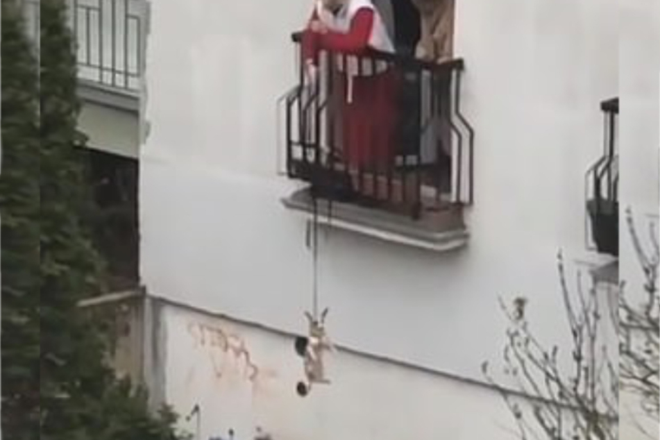 Frau seilt Hund an Leine von Balkon runter, damit er Gassi gehen kann