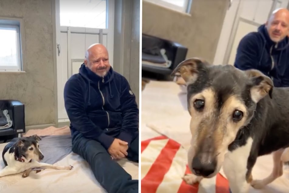 TV-Star Detlef Steves in Tränen aufgelöst: Todkranker Hund "zum Sterben weggeworfen"