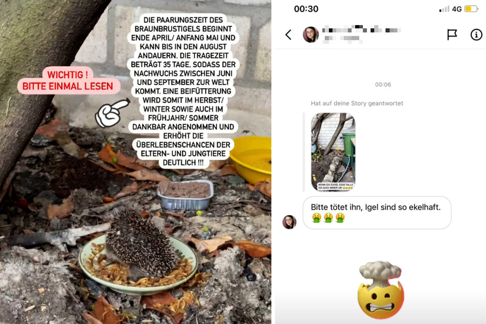 Evelyn Burdecki (33) teilt die widerliche Nachricht einer Instagram-Userin. (Fotomontage)