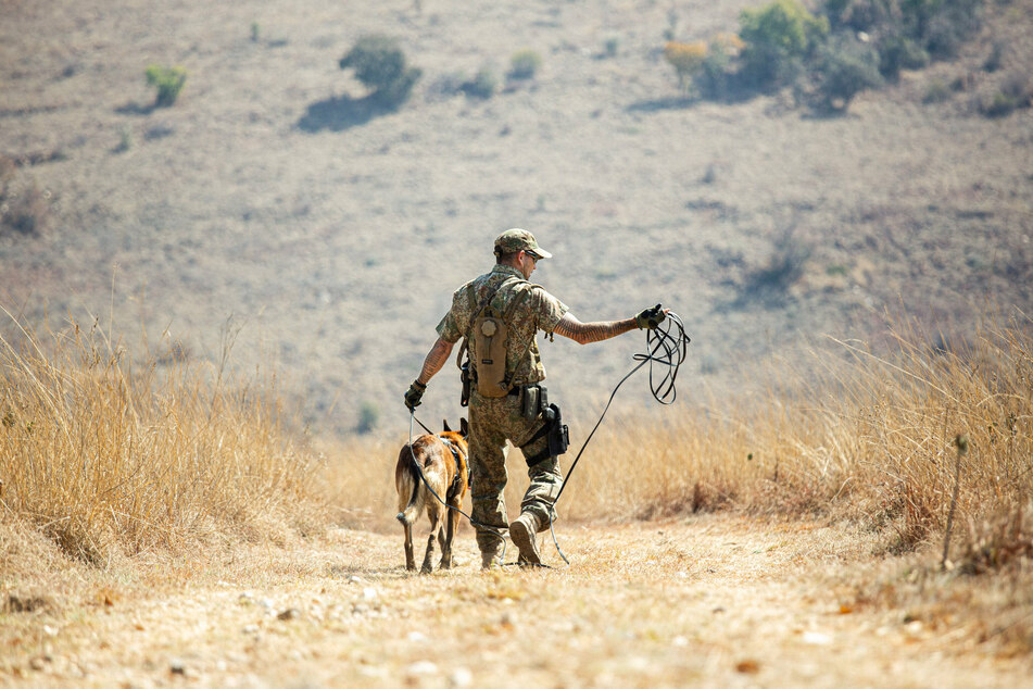 An ex-soldier campaigned for dogs and cats to be evacuated from Afghanistan too, so now there's been a protest.