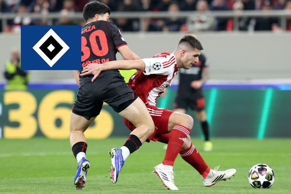 HSV-Blog: HSV nimmt Vuskovic-Nachfolger ins Visier