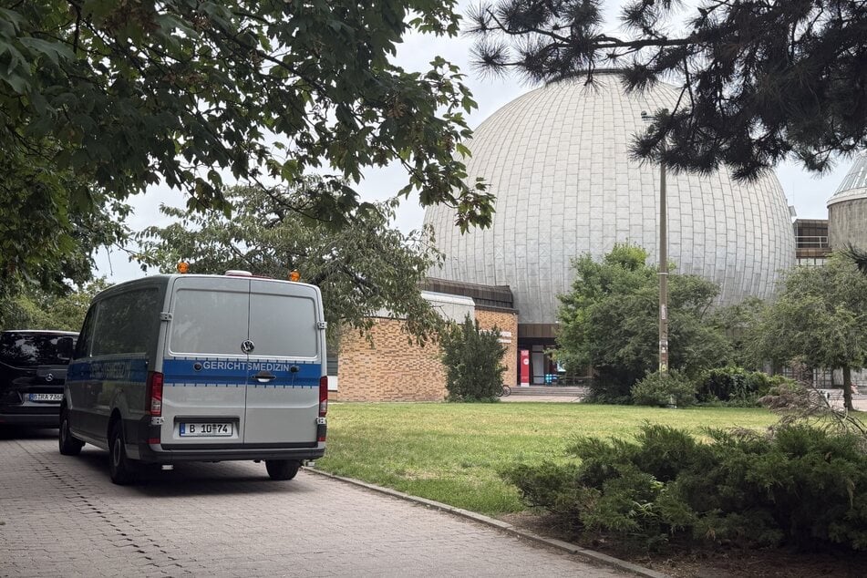 Berlin: Frauenleiche in Gebüsch gefunden: Mordkommission ermittelt