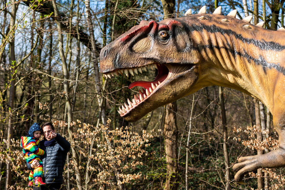 Ab Freitag könnt Ihr auf dem Jerichower Platz in die faszinierende Welt der Dinos eintauchen. (Symbolbild)