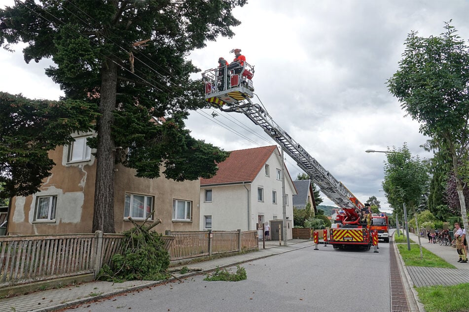 Ein abgerissener Ast sorgte am Freitagnachmittag in der Gartenstraße in Gohlis für ordentlich Aufsehen.