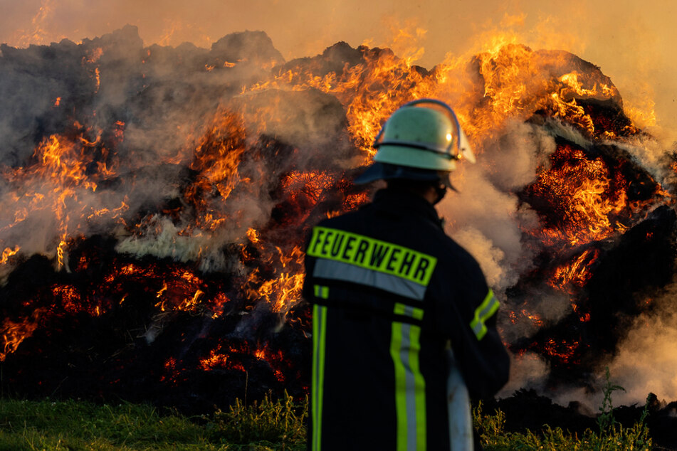 Unter der Aufsicht der Feuerwehr brannten die 106 Strohballen auf dem Feld in Groß-Umstadt ab.