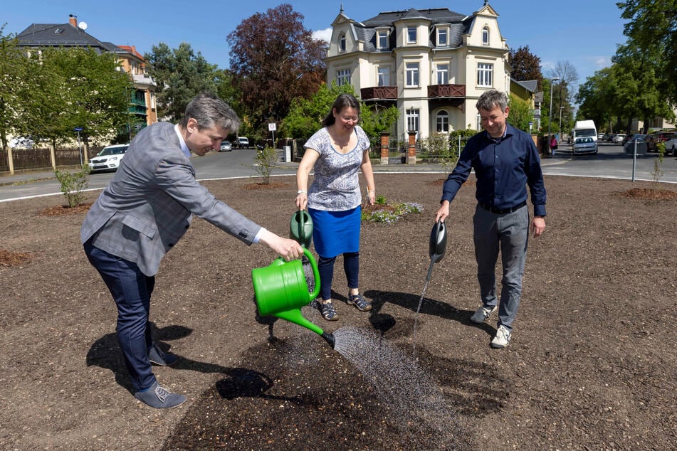 Wasser marsch! Baubürgermeister Stephan Kühn (44, Grüne, v.l.), Aktivistin Anna Hundsdörfer (47) und Stadtbezirksamtsleiter Thomas Grundmann (49) kamen gestern zum Angießen.