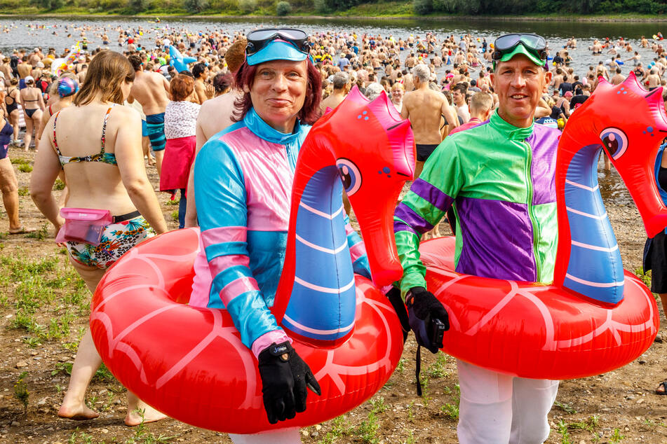 Dresden: Gut 2000 Tapfere stürzen sich beim "Elbeschwimmen" ins Nass