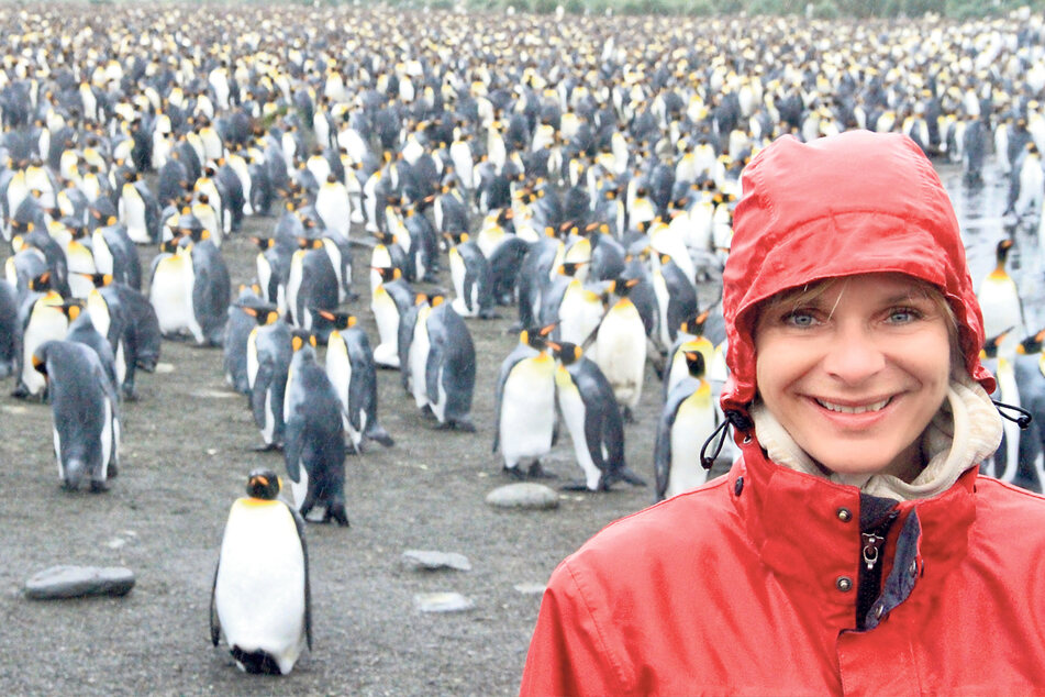 Einmaliges Erlebnis: An die vielen Pinguine in der Antarktis erinnert sich die Moderatorin heute noch gern zurück, ebenso an die knuffigen Robben.