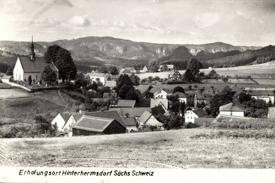 In Hinterhermsdorf in der Sächsischen Schweiz wurde 1743 der letzte Luchs erschossen.