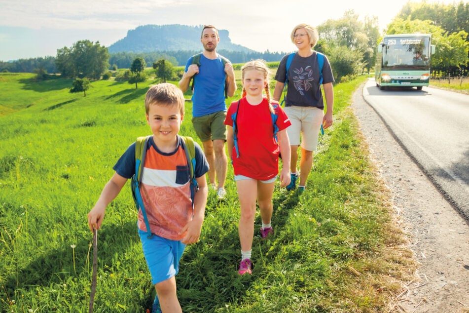 Im Frühling überrascht der Verkehrsverbund Oberelbe mit diesen Neuigkeiten