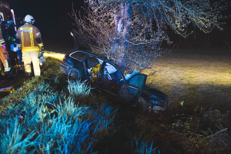 Das Auto blieb neben der Straße stehen.