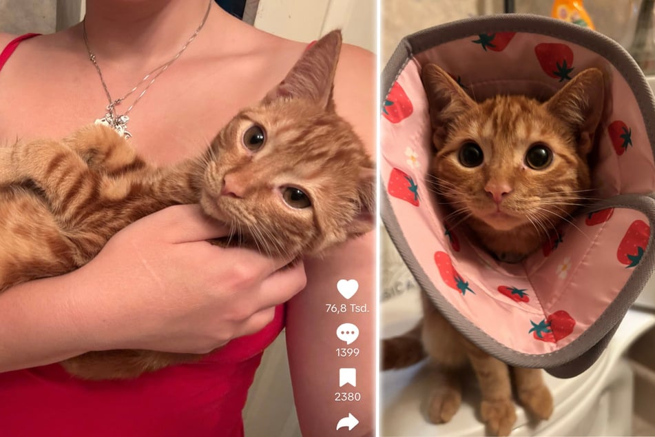 Nugget ist mittlerweile fünf Monate alt.