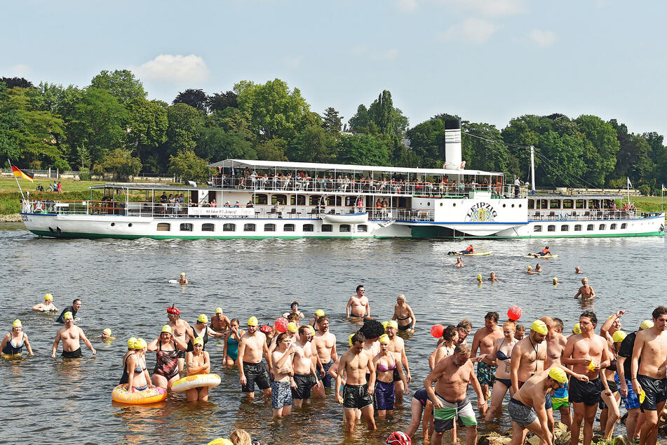 Am Fährgarten Johannstadt haben die Schwimmer ihr Ziel erreicht und können die Elbe verlassen.