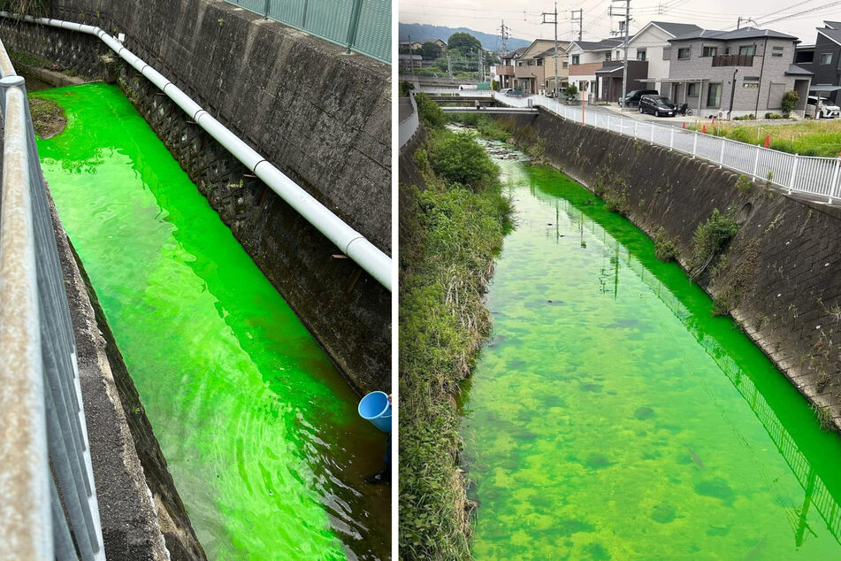 Dubiose Substanz in Fluss gekippt: Alles wird grün!