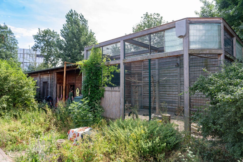 Dresdens Wildvogelauffangstation befindet sich auf dem Gelände der Stadtentwässerung in Kaditz.