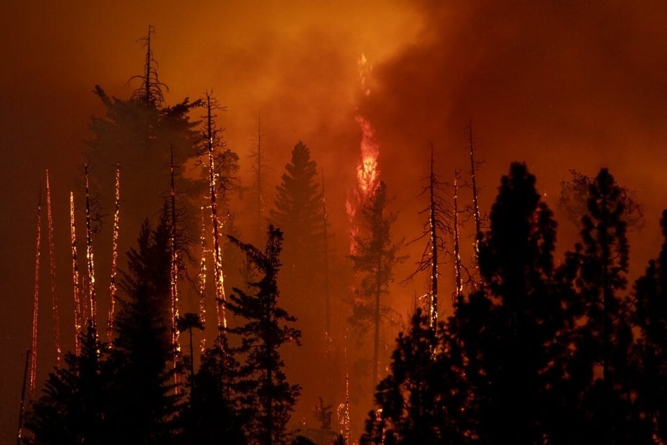 Over half of rural California now ranks "very high" for wildfire risk
