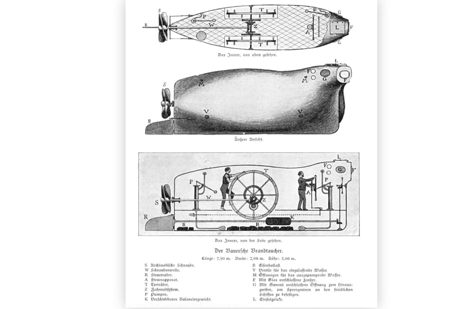 Das natürliche Vorbild für den Brandtaucher war der Seehund.