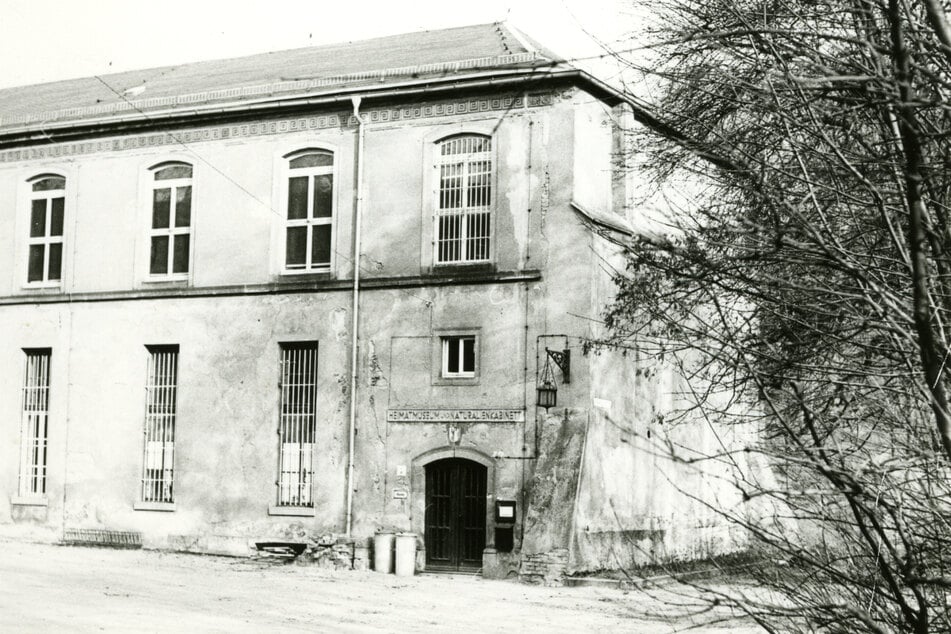 Museum Naturalienkabinett Waldenburg