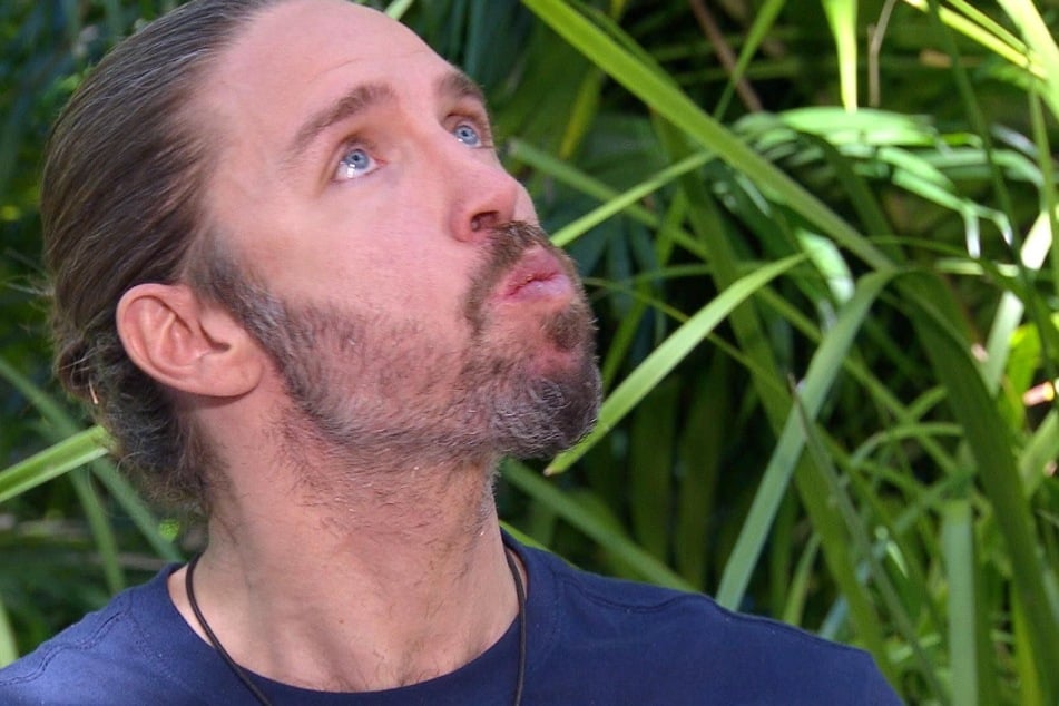 Gil scheitert an seinem ersten Essen, das aus zwei Skorpionen auf einem Cookie besteht.