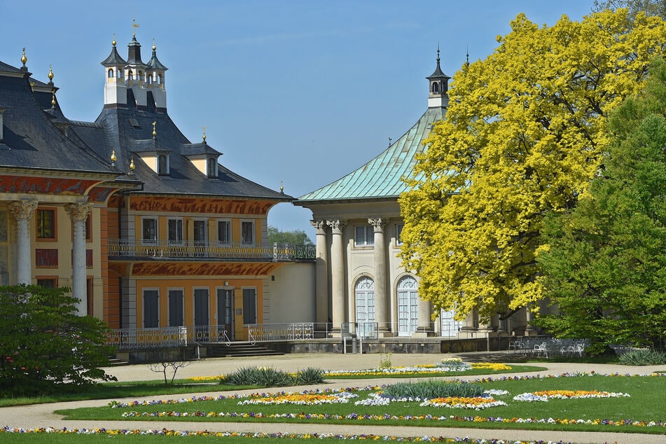 Die Orangerie im Schlosspark Pillnitz öffnet ausnahmsweise ihre Türen für Besucher.