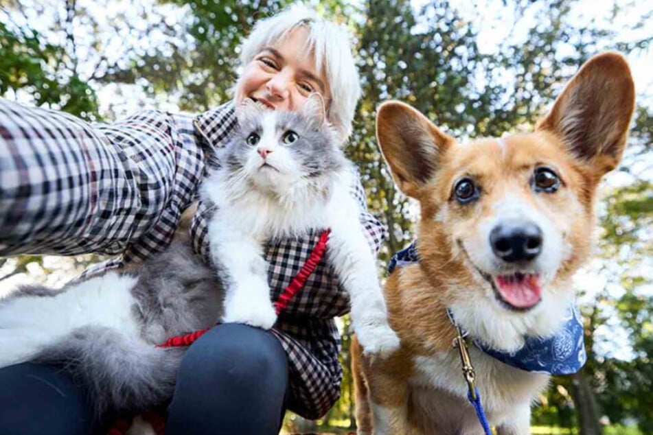 Chewy's Saturday, November 1 Deals are absolutely fur-tastic