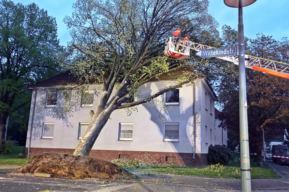 In Solingen krachte ein entwurzelter Baum gegen ein Haus.