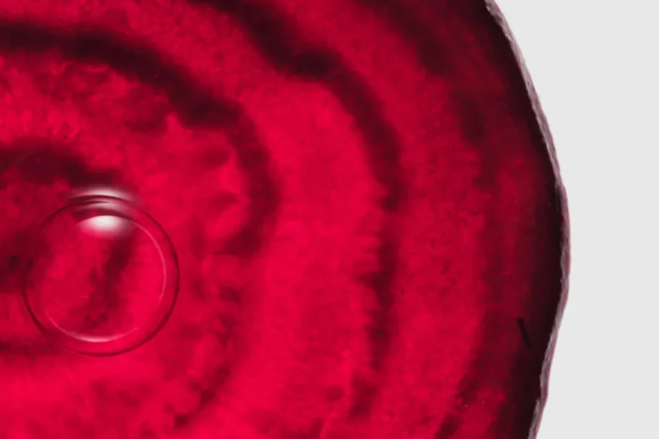Why More Wellness Experts Are Talking About the Benefits of CoQ10 for Heart Health