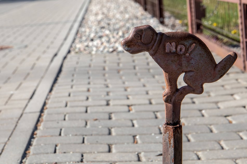 New York's city council is tackling the stinky issue of dog poop on the streets.