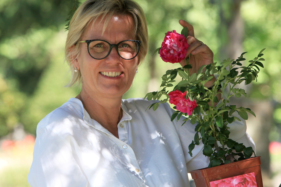 Sachsens Kultur- und Tourismusministerin Barbara Klepsch (59) posiert mit der neuen CDF-Rose.