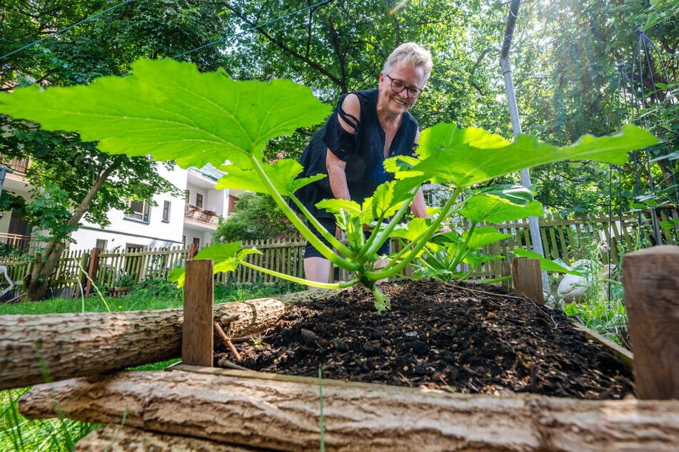 Neben einer Magerwiese mit integrierter Bienenweide werden in dem Garten auch Gewächse wie Zucchini angebaut.