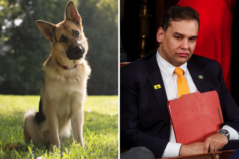 New York Representative George Santos was reportedly charged with theft over bad checks made out to Pennsylvania dog breeders.