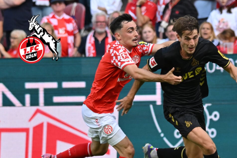 FC-Köln-Lazarett lichtet sich vor Mainz-Endspiel - startet City-Leihgabe erneut?